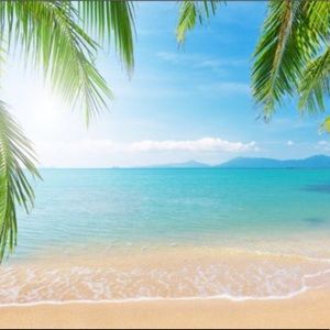 Meet your Posher, Aida